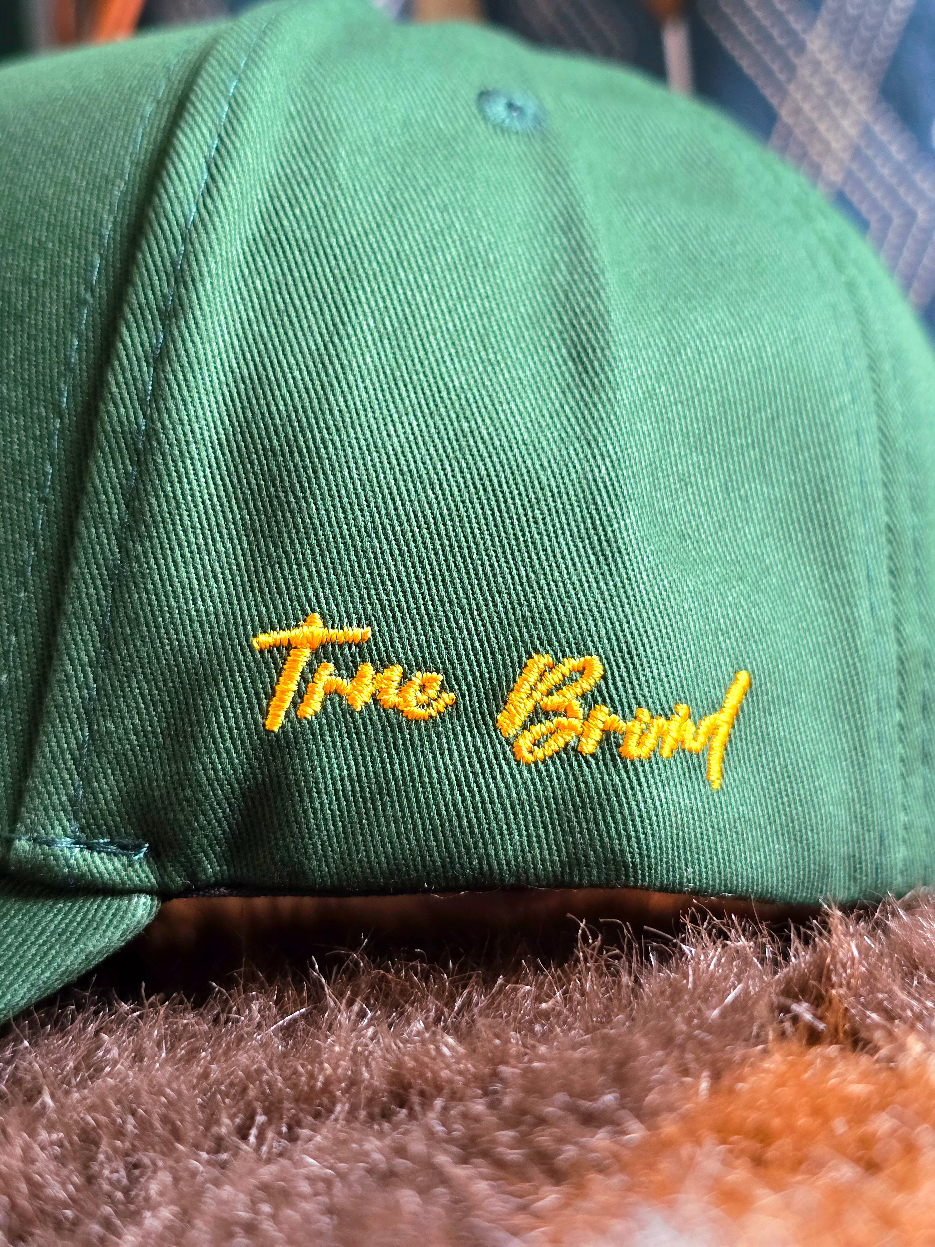 Post Malone Dallas Trucker Hat