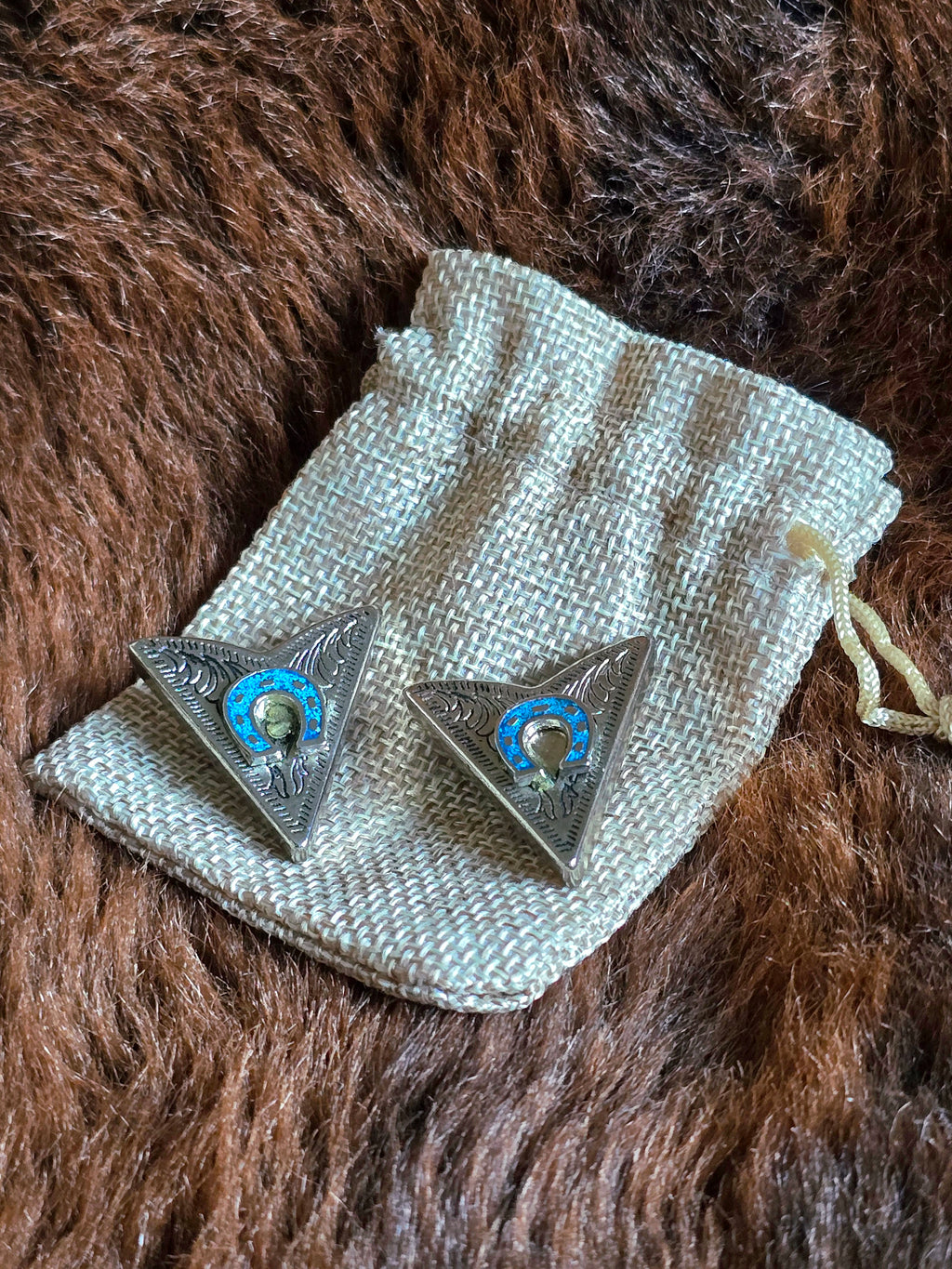 Horse Shoe Turquoise Collar Clips