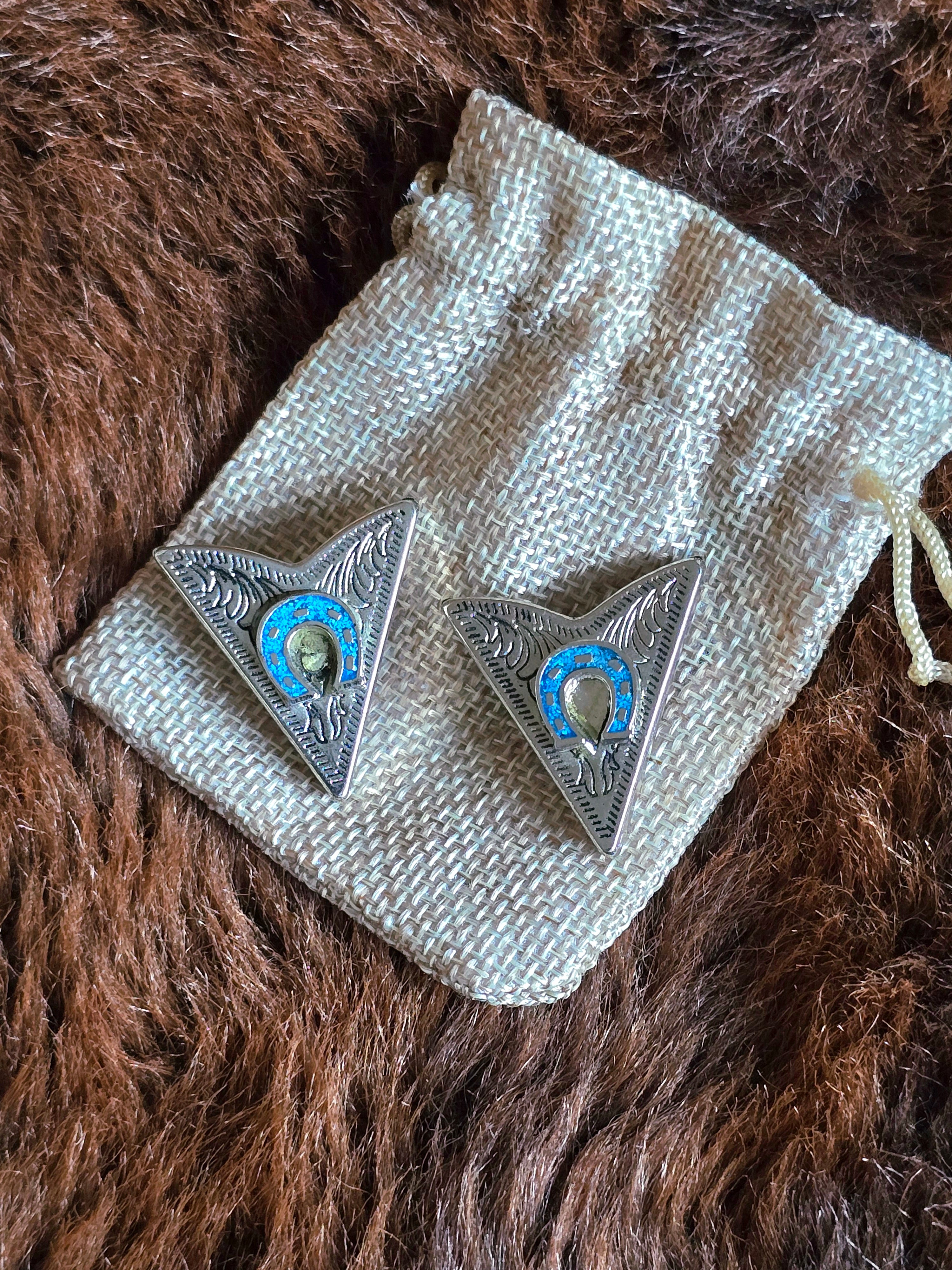 Horse Shoe Turquoise Collar Clips