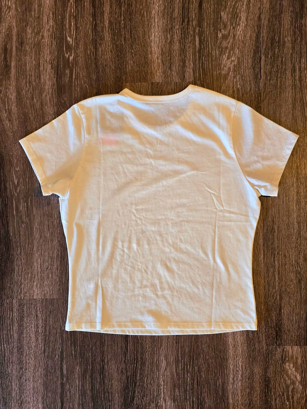 Hot Springs Ranch Ladies T-Shirt