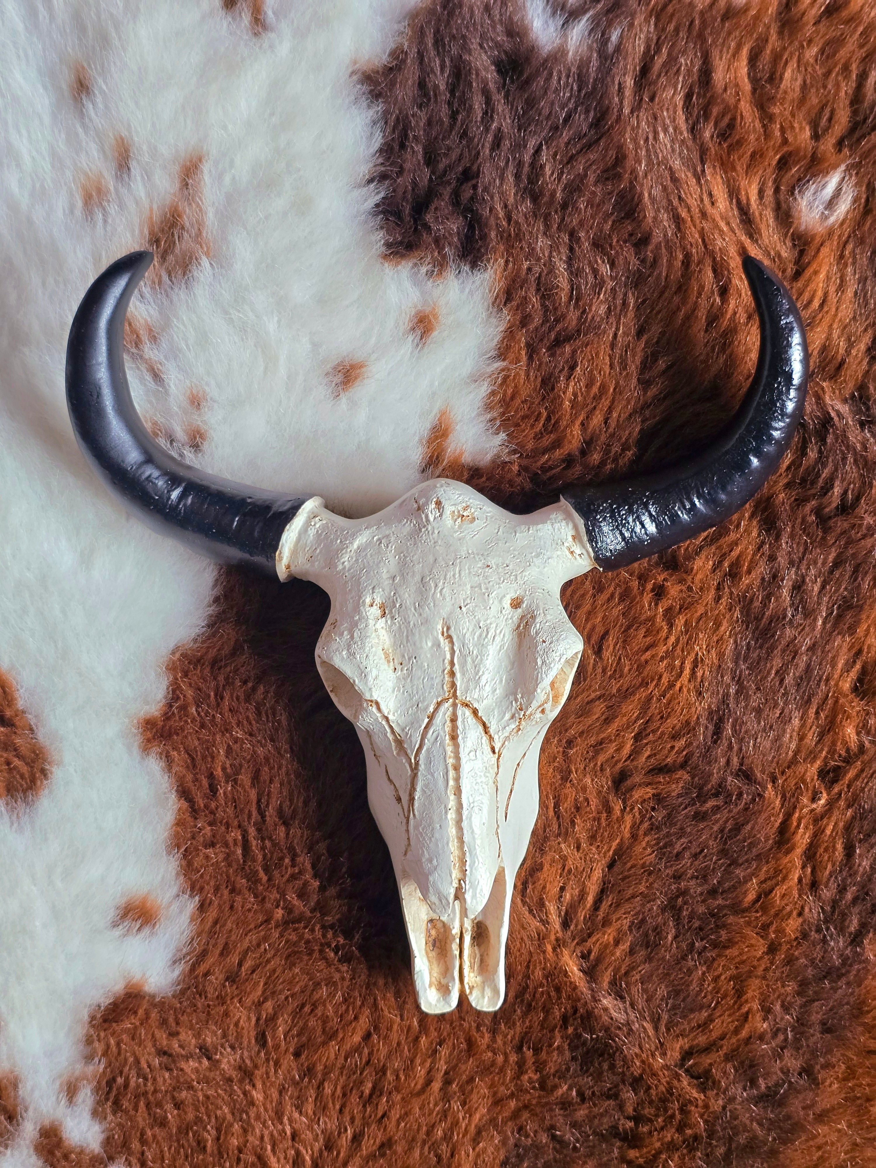 Resin Ram Skull
