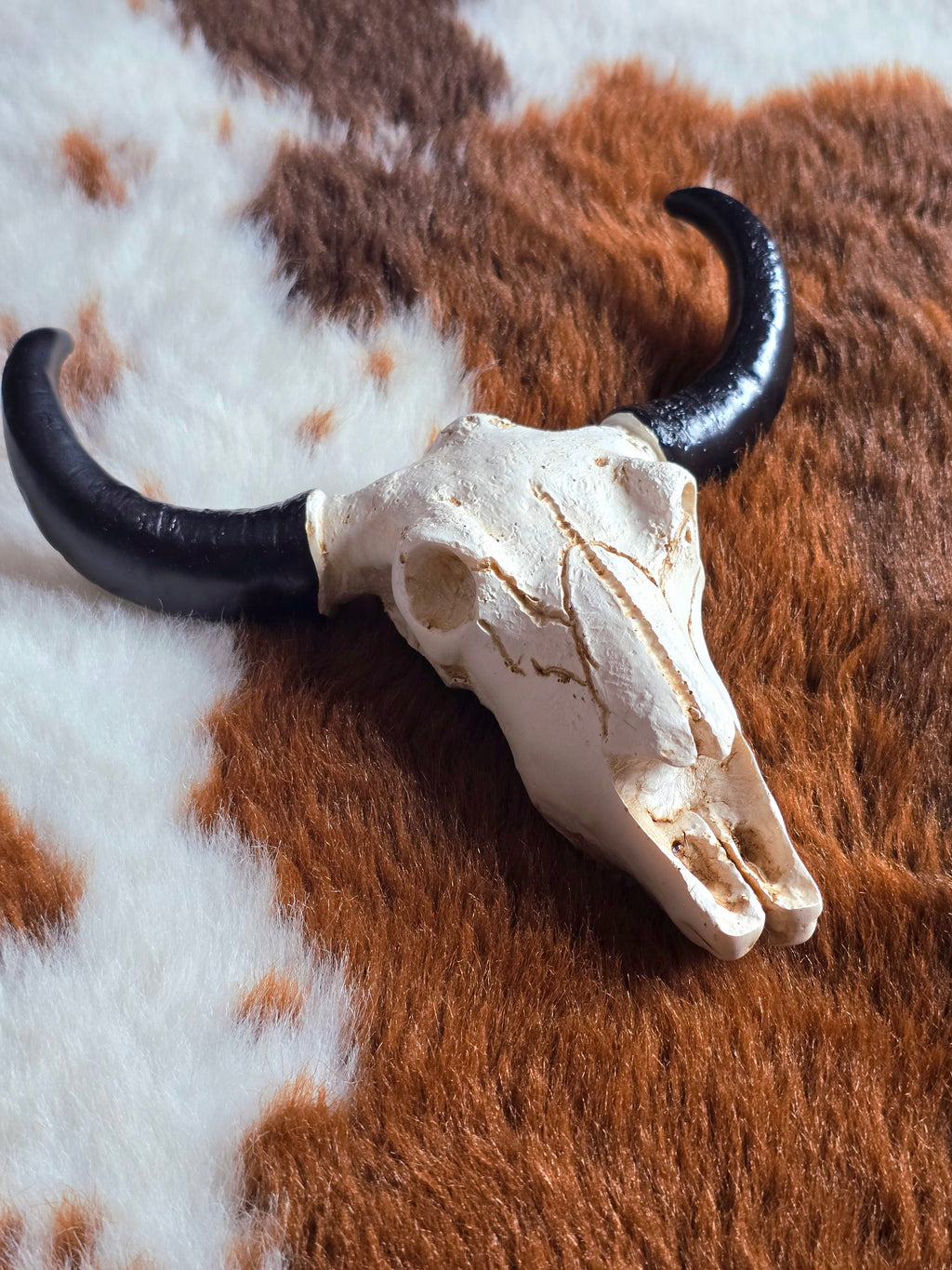 Resin Ram Skull