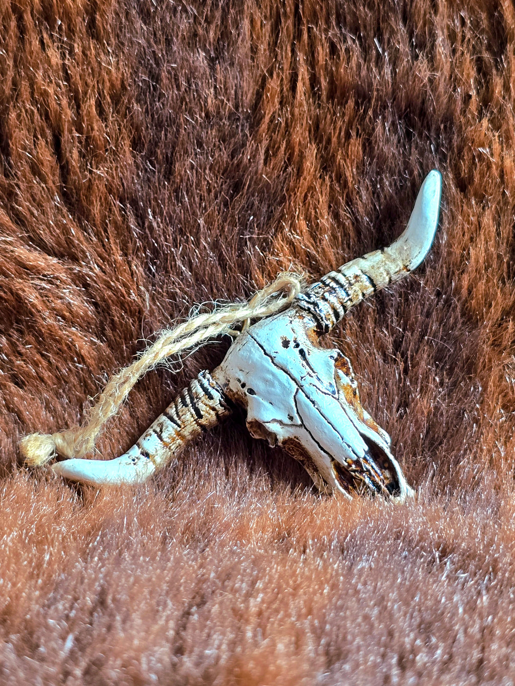 Longhorn Skull Ornament
